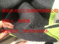 果岭被价格/厂家---山东泰安长丰 生态环保图1