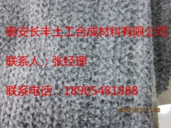 果岭被价格/厂家---山东泰安长丰 生态环保图2