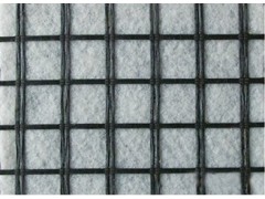 土工格栅复合土工布厂家图1