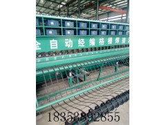 钢塑格栅，钢塑土工格栅，厂家报价图3