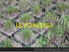 PP焊接土工格栅厂家图3