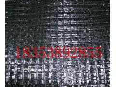 聚酯经编涤纶格栅厂家报价图1