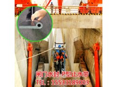 P型橡胶止水带水电工程闸门用闸门水封止水橡皮P30图1