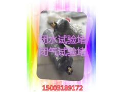 试验堵 闭水试验堵 闭气试验堵 DN200-DN700图3