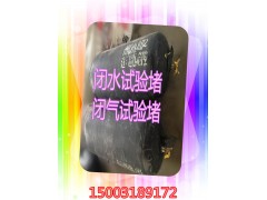 闭水试验堵 闭气试验堵 试验堵  DN200-DN700图1