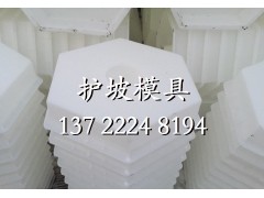 高铁专用六角护坡砖模具图1