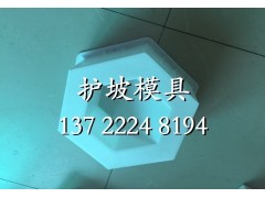 高铁专用六角护坡砖模具图2