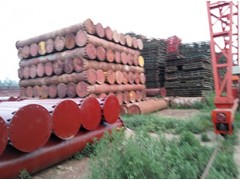 租赁圆柱模板图1