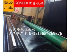 厂家批发防渗土工膜  隧道用防渗防水板图2