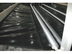 厂家直销地铁防渗膜 隧道防水板 垃圾处理场工程专用土工膜图3