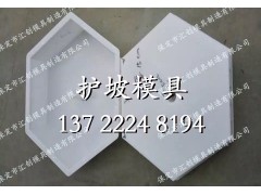铁路专用六棱块模具模板图3