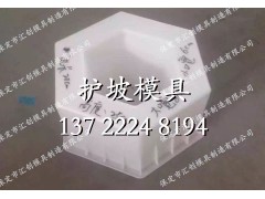 河道空心六棱块模具模板图2