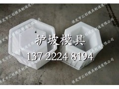 水库专用空心六棱块模具模板图3
