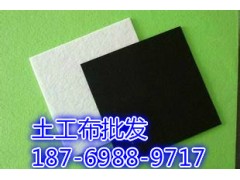 土工布厂家欢迎您18769889717图3
