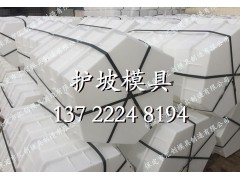 铁路专用六棱砖模具图2