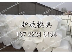 预制六角护坡转模具图2