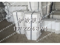 高速公路六棱块模具图3