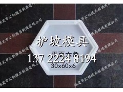 河道实心六角模具|汇创模板图1