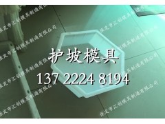 河道实心六角模具|汇创模板图2