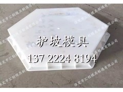 河道实心六角模具|汇创模板图3