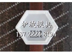 路基实心六角模具图1