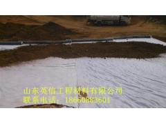 梧州市 膨润土防水毯图3