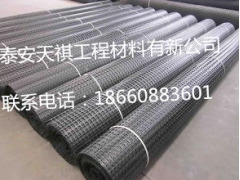 固原市  钢塑土工格栅  产品型号齐全  价格合理图1