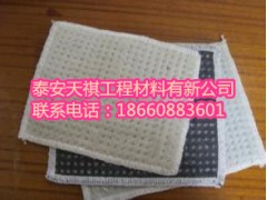 江苏省常州市  膨润土防水毯  生产线技术先进  售后无忧图2