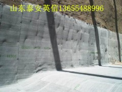 江西省景德镇  膨润土防水毯  价格低  品质好图2