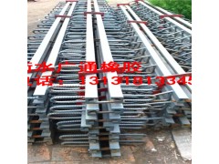 F80型桥梁伸缩缝价格  Z80型桥梁伸缩缝厂家图1