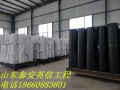 河南省信阳市 抗裂贴 防裂贴 款式多样 售后无忧图2