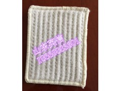 河南省新乡市  膨润土防水毯  施工方法  施工步骤图1