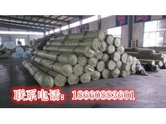 河南省开封市  钢塑土工格栅  产品型号齐全  价格合理图3