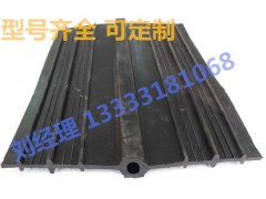 河北厂家直销 止水带 质量保证图2