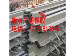 GQF-C40型桥梁伸缩缝价格  60型板式橡胶伸缩缝厂家图2