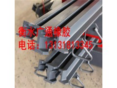 GQF-C40型桥梁伸缩缝价格  60型板式橡胶伸缩缝厂家图3