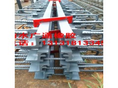 GQF-F80型桥梁伸缩缝厂家  板式橡胶伸缩缝价格图2