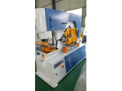 山东方特路桥多功能冲剪机图3