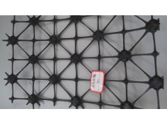 四向土工格栅 厂家直销图1