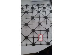 四向土工格栅 厂家直销图2