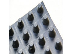 金秋购物节批量供应 厂家直销塑料排水板图1