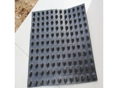 金秋购物节批量供应 厂家直销塑料排水板图2