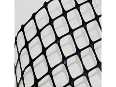 采购标准双向拉伸土工格栅 价格实惠有保障图1