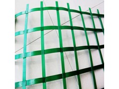 金秋采购节 批量供应 厂家直销 PET聚酯土工格栅图1