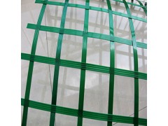 金秋采购节 批量供应 厂家直销 PET聚酯土工格栅图2