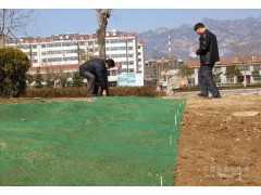 厂家直供塑料网垫（非标）价格低廉 质量好图1