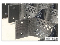 TGLG蜂巢土工格室图1