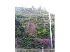 边坡绿化爬藤网生态工程图1