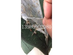 成都路源 草种生态袋 价格实惠图1