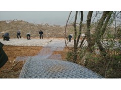 雷诺护垫 厂家直销 质量保证图2